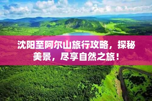 沈阳至阿尔山旅行攻略,探秘美景,尽享自然之旅!