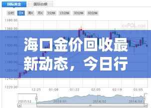 海口金价回收最新动态,今日行情抢先看