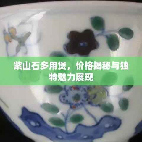 紫山石多用煲,价格揭秘与独特魅力展现