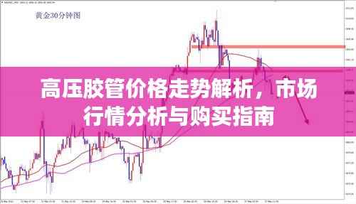 高压胶管价格走势解析,市场行情分析与购买指南