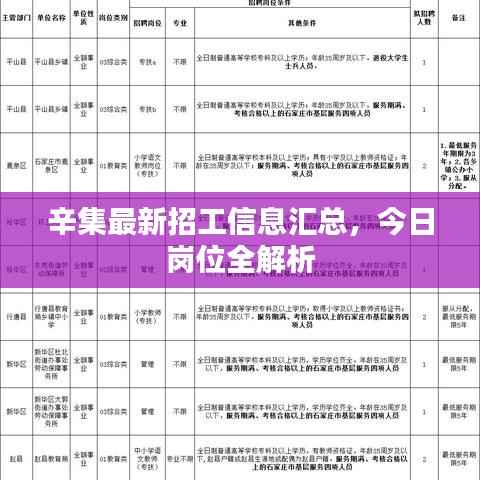 辛集最新招工信息汇总,今日岗位全解析