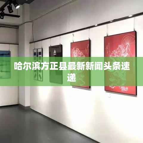 哈尔滨方正县最新新闻头条速递