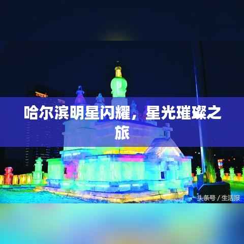 哈尔滨明星闪耀,星光璀璨之旅