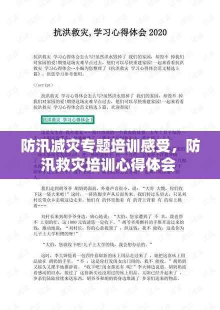防汛减灾专题培训感受,防汛救灾培训心得体会