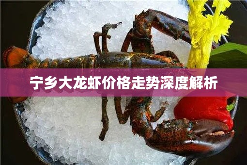 宁乡大龙虾价格走势深度解析