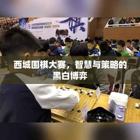 西城围棋大赛,智慧与策略的黑白博弈