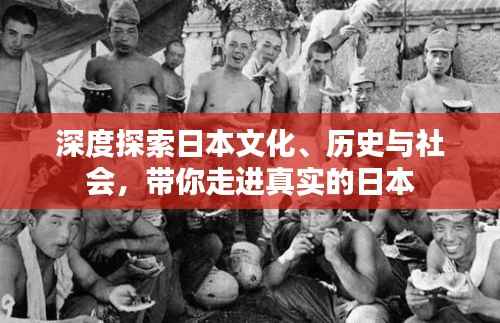 深度探索日本文化、历史与社会,带你走进真实的日本
