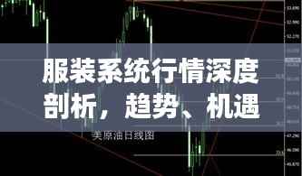 服装系统行情深度剖析,趋势、机遇与挑战一网打尽!