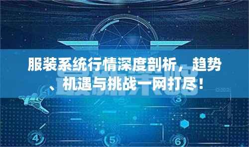 服装系统行情深度剖析,趋势、机遇与挑战一网打尽!
