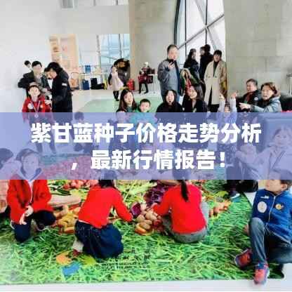 紫甘蓝种子价格走势分析,最新行情报告!