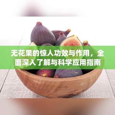 无花果的惊人功效与作用,全面深入了解与科学应用指南