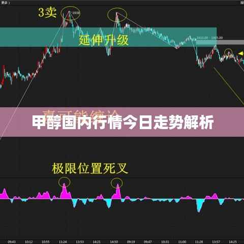 甲醇国内行情今日走势解析