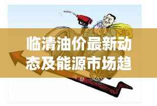 临清油价最新动态及能源市场趋势深度解析