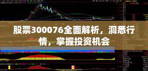 股票300076全面解析,洞悉行情,掌握投资机会
