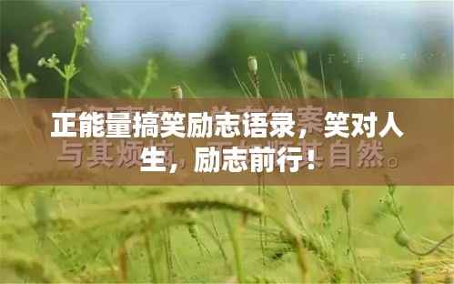 正能量搞笑励志语录,笑对人生,励志前行!