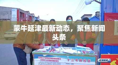 蒙牛延津最新动态,聚焦新闻头条