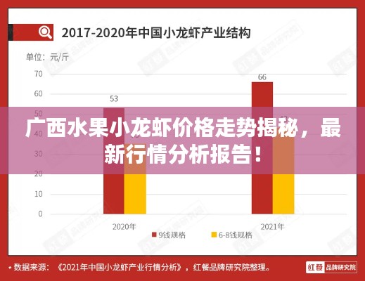 广西水果小龙虾价格走势揭秘,最新行情分析报告!