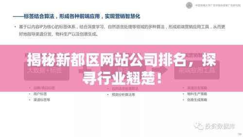 揭秘新都区网站公司排名,探寻行业翘楚!