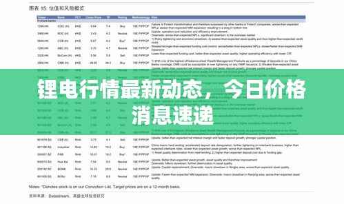 锂电行情最新动态,今日价格消息速递