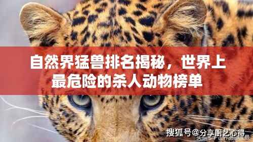 自然界猛兽排名揭秘,世界上最危险的杀人动物榜单