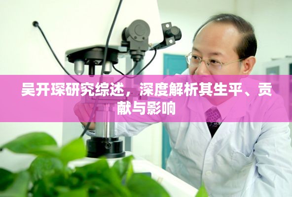 吴开琛研究综述,深度解析其生平、贡献与影响