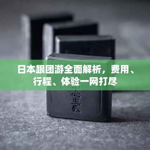 日本跟团游全面解析,费用、行程、体验一网打尽