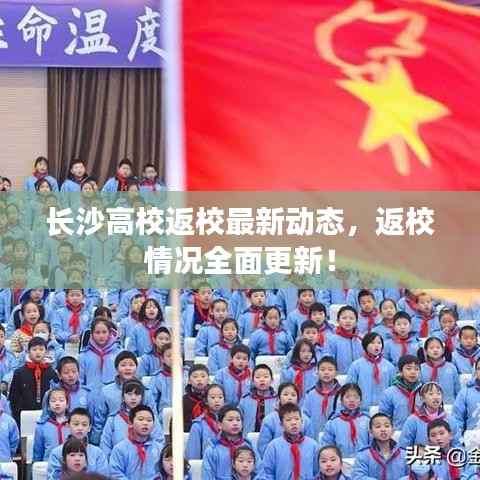 长沙高校返校最新动态,返校情况全面更新!