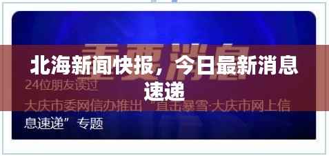 北海新闻快报,今日最新消息速递