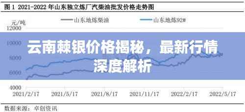 云南棘银价格揭秘,最新行情深度解析
