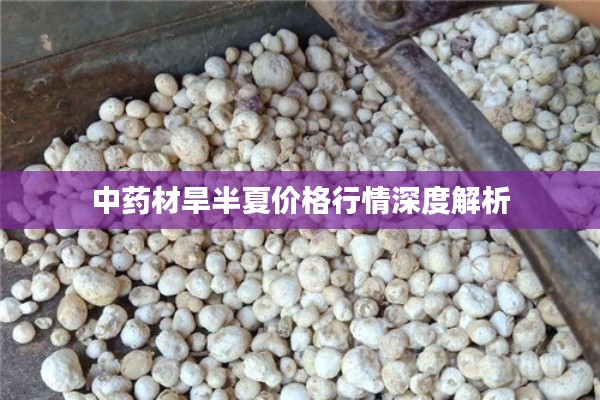 新闻动态 第164页