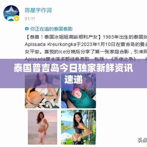 泰国普吉岛今日独家新鲜资讯速递