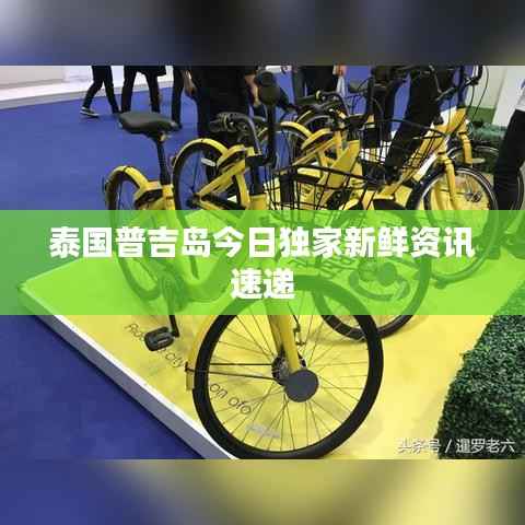 泰国普吉岛今日独家新鲜资讯速递