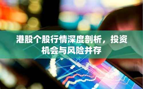 港股个股行情深度剖析,投资机会与风险并存