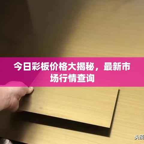 今日彩板价格大揭秘,最新市场行情查询