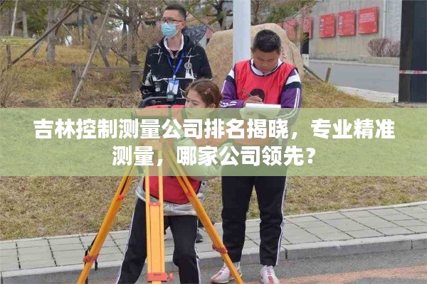 吉林控制测量公司排名揭晓,专业精准测量,哪家公司领先?