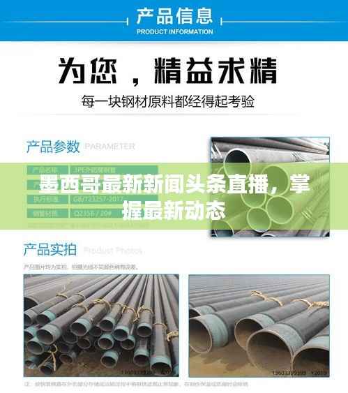 墨西哥最新新闻头条直播,掌握最新动态