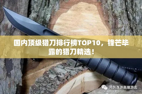 国内顶级猎刀排行榜TOP10,锋芒毕露的猎刀精选!