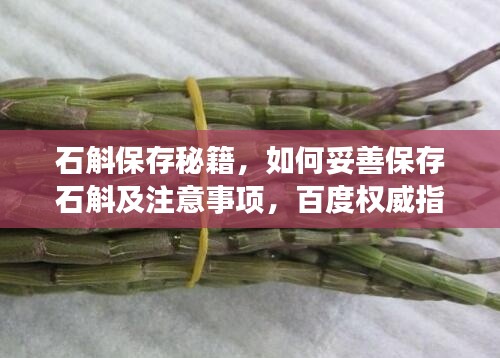石斛保存秘籍,如何妥善保存石斛及注意事项,百度权威指南