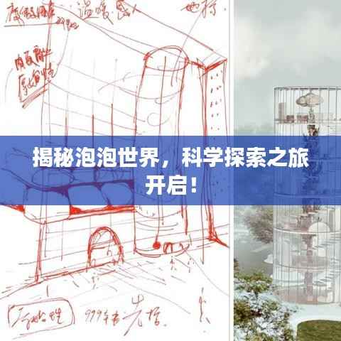 揭秘泡泡世界,科学探索之旅开启!