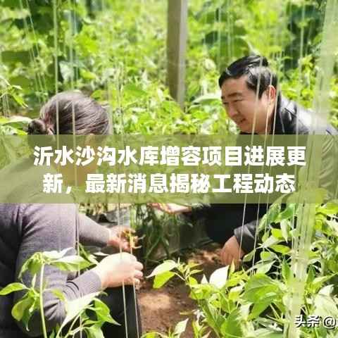 沂水沙沟水库增容项目进展更新,最新消息揭秘工程动态