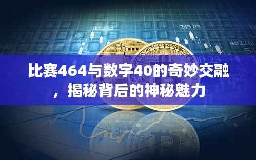 比赛464与数字40的奇妙交融,揭秘背后的神秘魅力