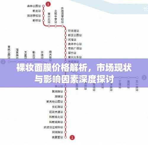 裸妆面膜价格解析,市场现状与影响因素深度探讨