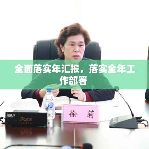 全面落实年汇报,落实全年工作部署