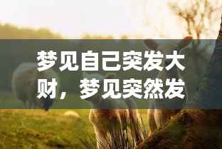 梦见自己突发大财,梦见突然发大财