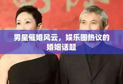 男星催婚风云,娱乐圈热议的婚姻话题