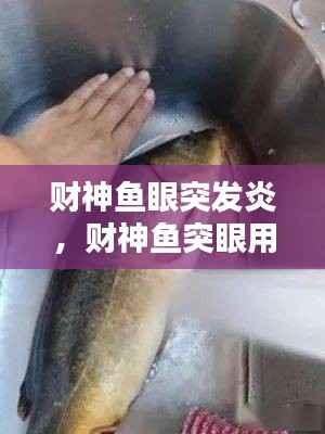 财神鱼眼突发炎,财神鱼突眼用什么药治疗
