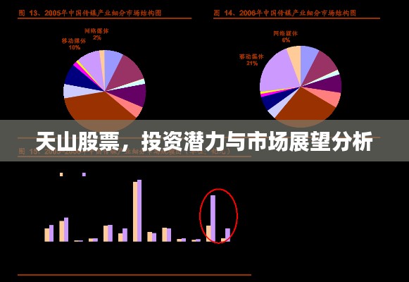 天山股票,投资潜力与市场展望分析
