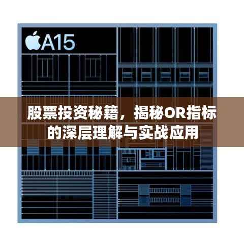 望其项背 第2页