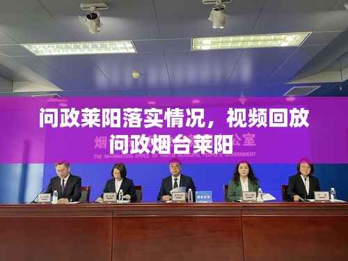 问政莱阳落实情况,视频回放问政烟台莱阳