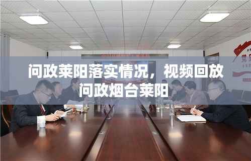 问政莱阳落实情况,视频回放问政烟台莱阳